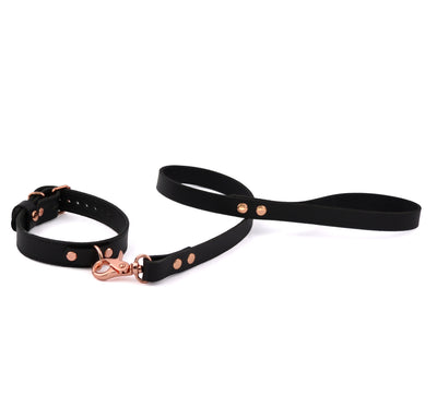 Black Leather Aurum Collar with D-Ring & Leash | BDSM Leash and Collar