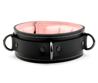 Black & Blush Pink Premium Padded Leather Bondage Collar | Online BDSM Store