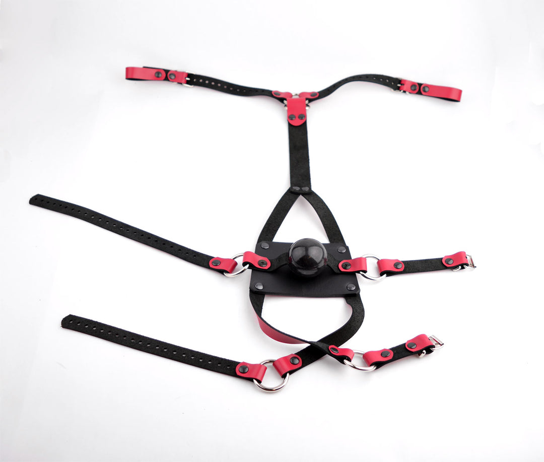 PREMIUM STUNNING QUALITY Black and Pink Leather Panel Gag A Cheeky & Very effective offers Gag by Mercy Industries Ga10pnk